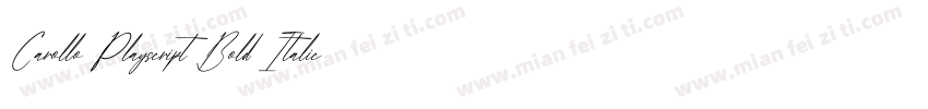 Carollo Playscript Bold ItalicVersi字体转换